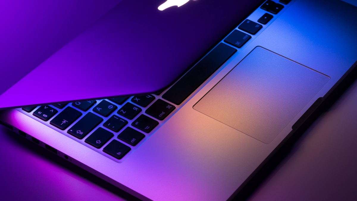 macOS Verge Rev 权限